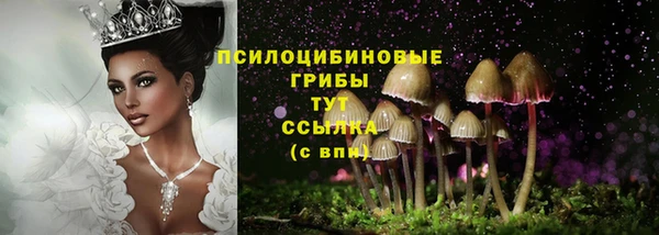 герыч Алексин