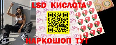 индика Усть-Джегута