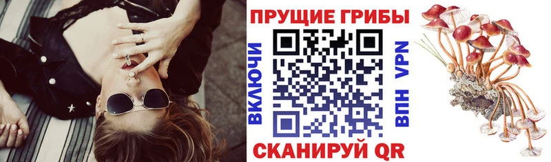 Галлюциногенные грибы MAGIC MUSHROOMS  что такое   Невинномысск 