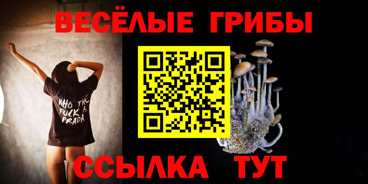 Галлюциногенные грибы мицелий  Вход с VPN  Невинномысск 